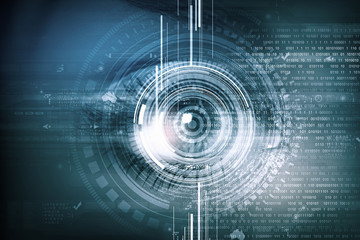 Obraz premium Eye identification