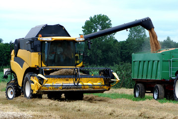 GERMANY - Combine harvester on a corn field in action