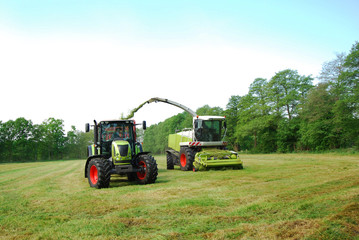 Cut grass is picked up and transported directlybackground trees and blue sky