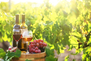 Tasty wine on wooden barrel on grape plantation background