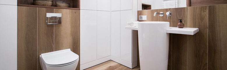 Panoramic picture of toilet