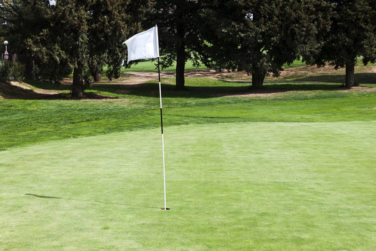 Blank flagstick on a putting green in a golf course.