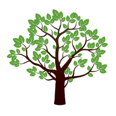 Fototapeta na wymiar Tree and Roots. Vector Illustration.