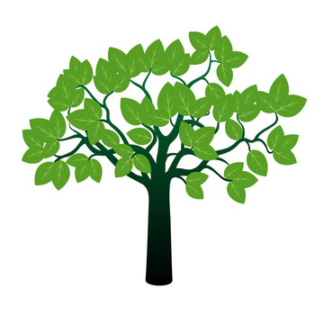 Tree and Leafs. Vector image.
