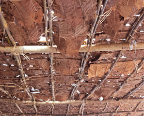 roof Brow