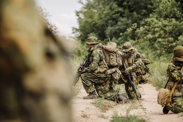 paratrooper airborne infantry in the forest