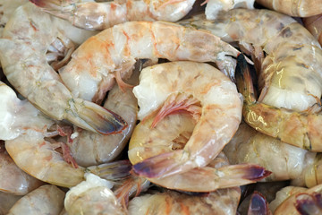 Shrimp exposed in fish market