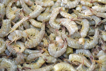 Shrimp exposed in fish market