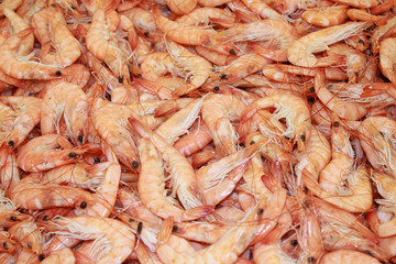 crevettes