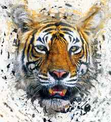 Digital collage portrait of Bengal tiger - 87773624