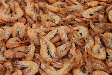 crevettes roses