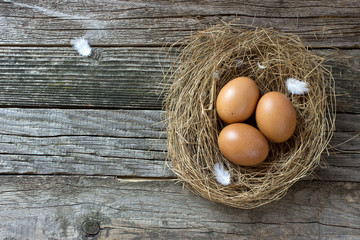 Nest with eggs on wooden background
