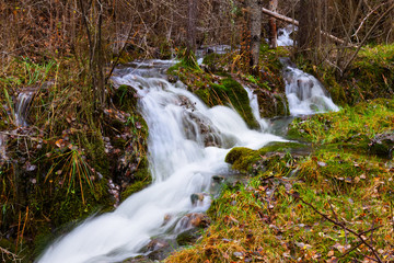 Mountains stream with moss stones at forest