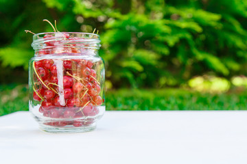 Fresh Red Currant at glass can
