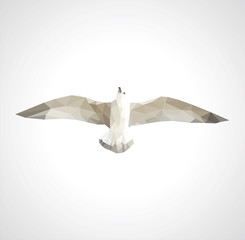 polygonal seagull in flight on a white background