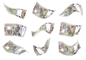 Canadian dollars, isolated on white