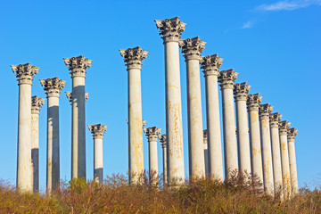 National Capitol Columns in the early morning. 