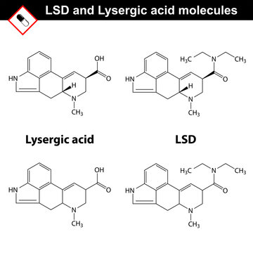LSD and lysergic acid molecules