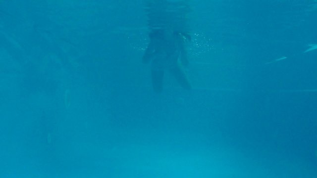Женщина плавает в бассейне