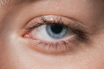 Macro image of human blue eye looking at camera. Tired eyes