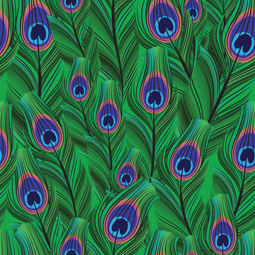 Peacock feathers seamless background