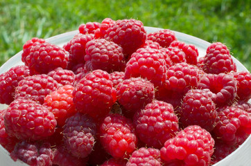 Sweet red raspberries