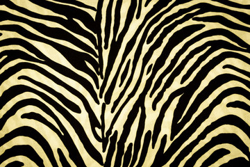 Texture fabric of Zebra for background