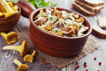 Chicken fillet with chanterelles and cream