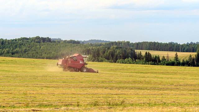 Combine harvester on the oats field