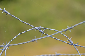 Barb wire
