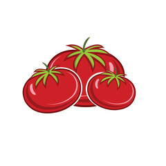 red ripe tomatoes vector illustration isolated on white backgrou