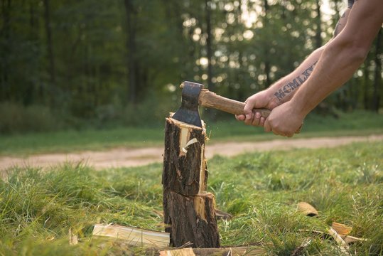 Firewood and old axe