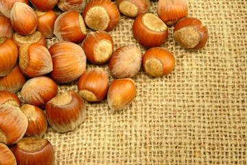 Hazelnuts on Sackcloth
