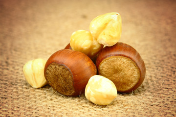 Hazelnut Closeup