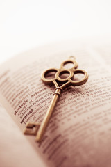 Business concept  key for strategy