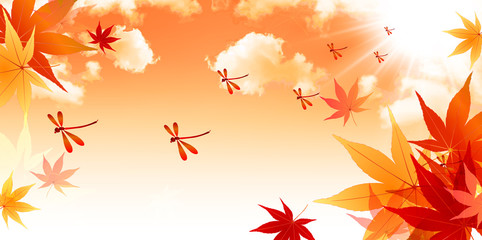 もみじ　赤とんぼ　背景 © J BOY