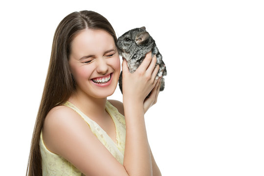 Pet Chinchilla Kissing Owner