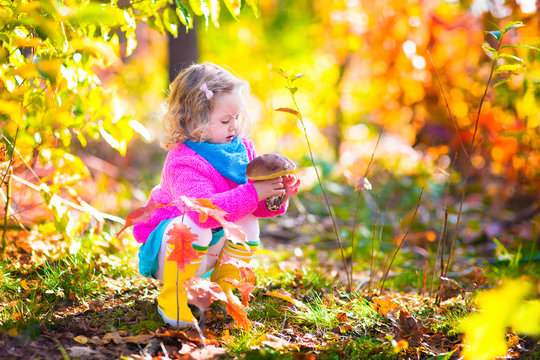 Little girl picking mushrooms