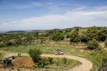 Fototapeta premium Contryside landscape with forrest and field