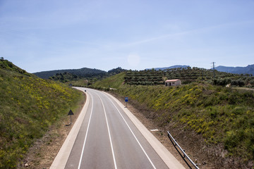 Countryside road in sunny day