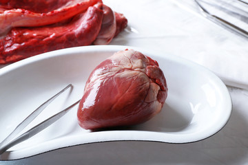 Heart organ in medical metal tray with tools on table close up