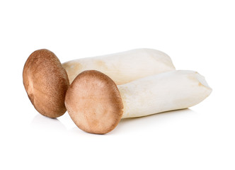 king oyster mushroom on white Background
