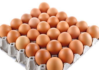 Eggs in paper tray on white background.