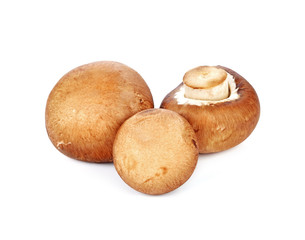 fresh champignon mushrooms isolated on white