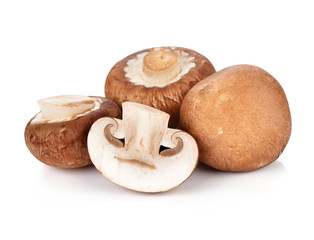 fresh champignon mushrooms isolated on white