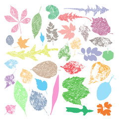 multicolor Autumn leaf silhouettes, seasonal