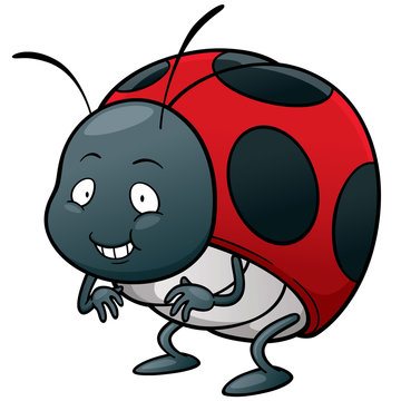 Vector illustration of cartoon Lady bug