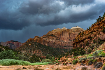 Zion_Storm