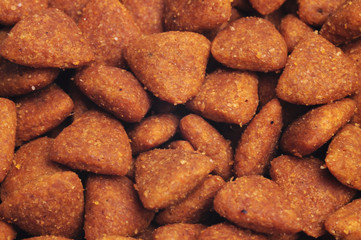 Dry dog food background, close up, close up shot
