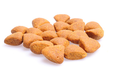 Dry dog food close up, close up shot
